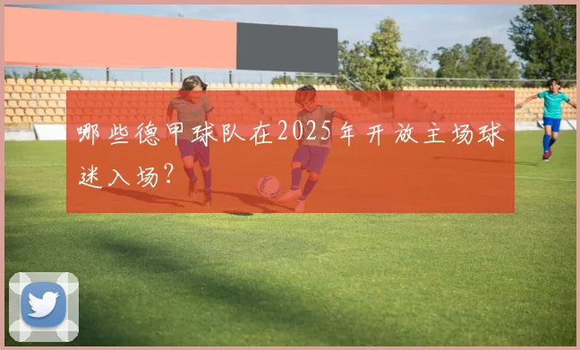 哪些德甲球队在2025年开放主场球迷入场？