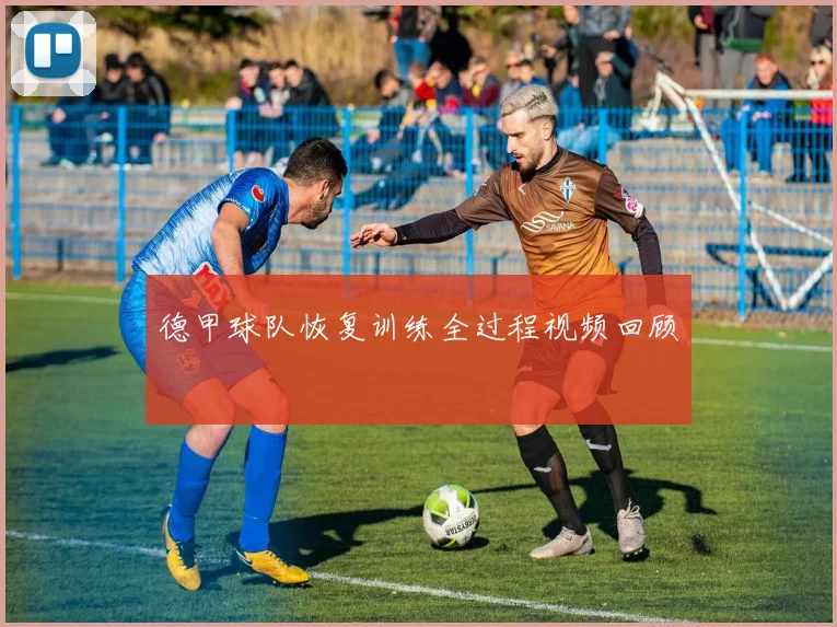 德甲球队恢复训练全过程视频回顾