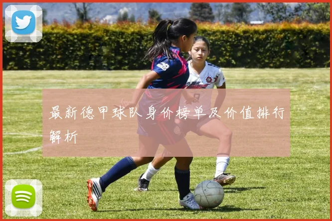 最新德甲球队身价榜单及价值排行解析